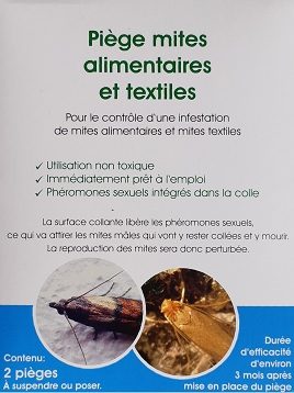 Antimites : quelles solutions naturelles pour lutter contre les mites